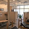 Planet Chiropractic - Mill Creek gift card