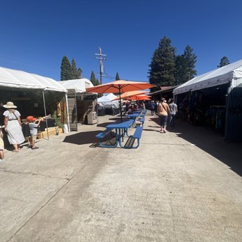 Boa Vista Orchards - Boa Vista vendors - Fruits & Veggies Near Me - Placerville, California Boa Vista Orchards - Boa Vista vendors - Fruits & Veggies Near Me - Placerville, California