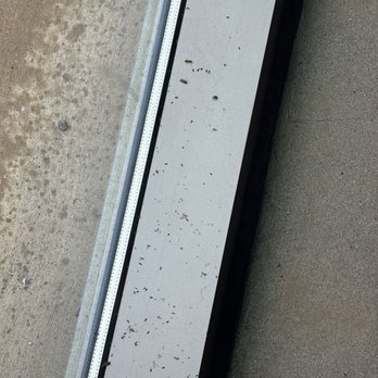 Atwater Brewery GR - More Dead bugs and droppings at the window sill of our table - Breweries Near Me - Grand Rapids, Michigan