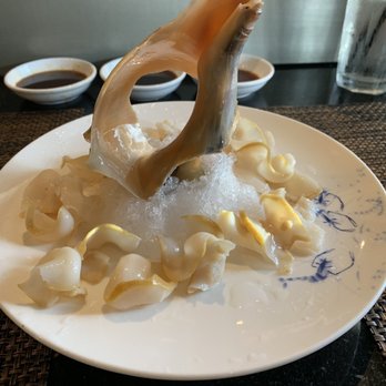 Ocean Sushi Grill - Fresh Conch sashimi, sweet but chewy. - Asian Fusion Near Me - League City, Texas