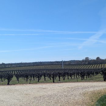 Cooper Vineyards - Wineries Near Me - Plymouth, California