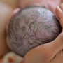 Photo of Mikaela Wapman - Mother's Nature Doula Services
