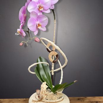 Somerville Orchids - Florists Near Me Somerville Orchids - Florists Near Me