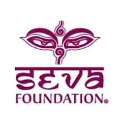 Seva Foundation - Seva Foundation