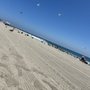 Photo of Will Rogers State Beach Coastline