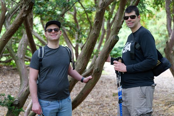 The Morton Arboretum by null