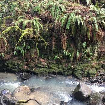 Macleay Park - Parks Near Me - Portland, Oregon