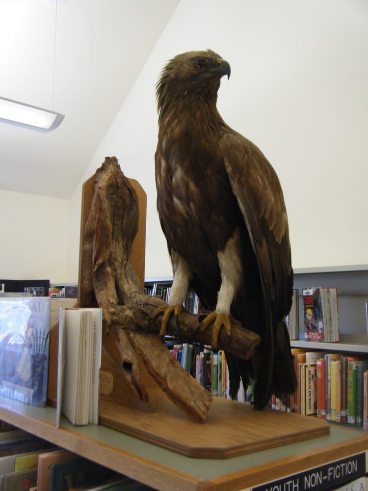 CHILMARK PUBLIC LIBRARY 11 Photos 522 South Road, Chilmark, MA Yelp