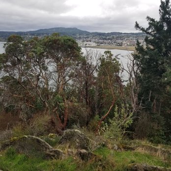 Cap Sante Park - Some view. - Parks Near Me - Anacortes, Washington