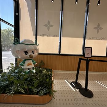 Molly Tea - Girl mascot - Bubble Tea Near Me - Bellevue, Washington