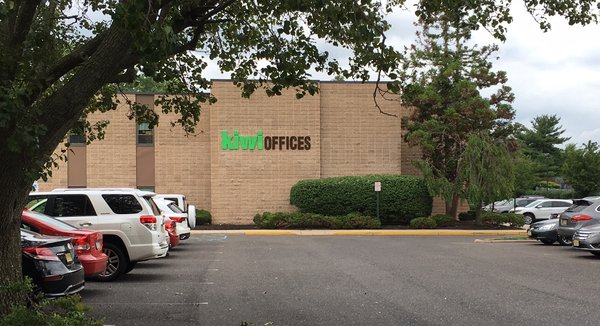 Kiwi Offices