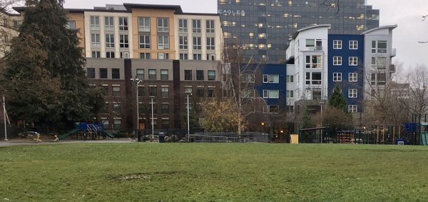 Alcyone Apartments 33 Photos 42 Reviews Apartments 301 Minor Ave N Seattle Wa United States Phone Number