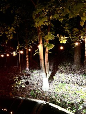 Oliver's at Howland House by null