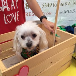 Hudson River Craft Beer Festival - Doggy kissing booth