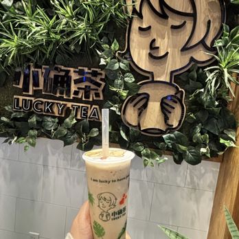 Lucky Tea - Honey boba - Coffee & Tea Near Me - Santa Clara, California Lucky Tea - Honey boba - Coffee & Tea Near Me - Santa Clara, California