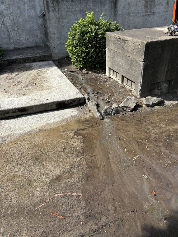 Slide of Pro Leak Detection