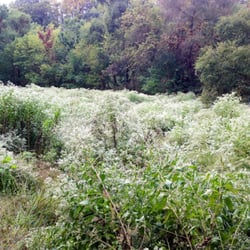Hopkins Pond