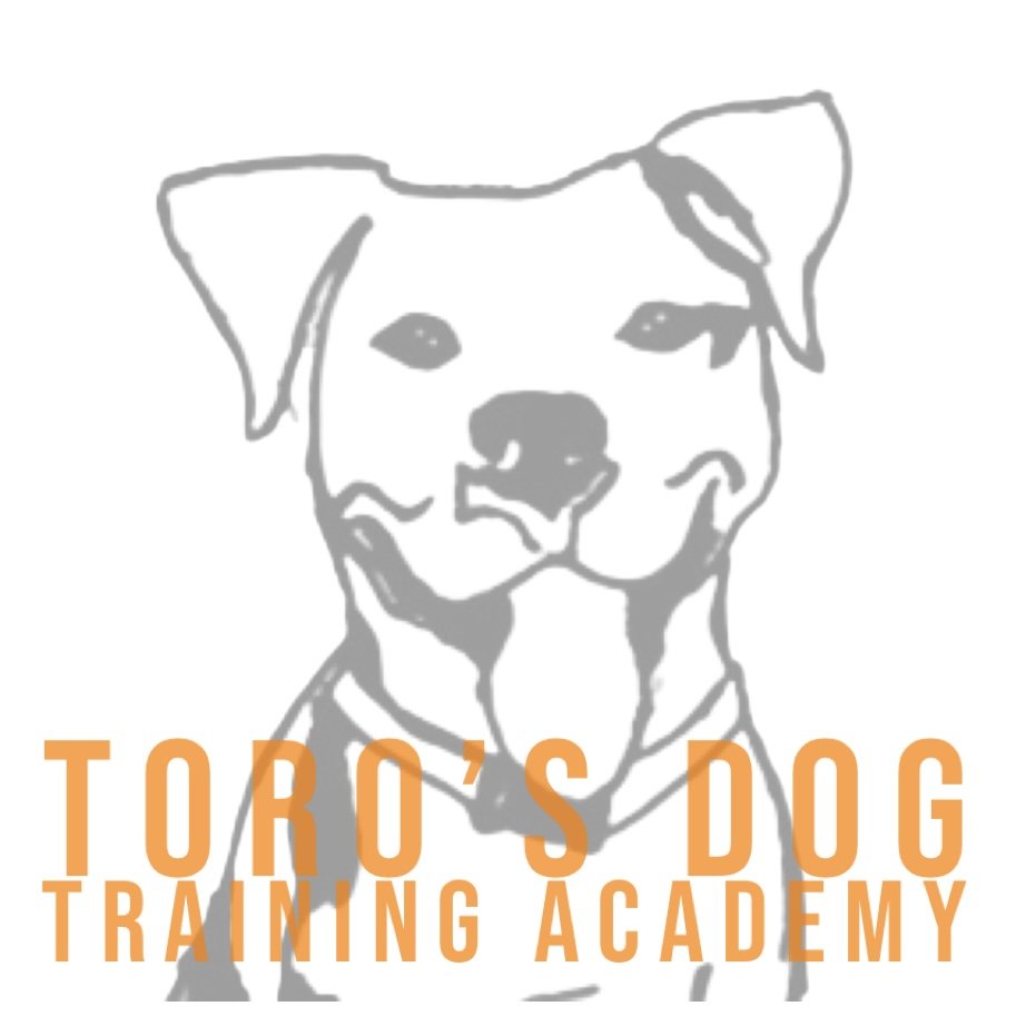 toro-s-dog-training-academy-updated-october-2024-aliquippa