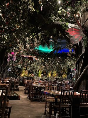 Rainforest Cafe by null