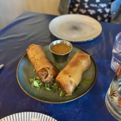 Seafood Grill - Spring rolls