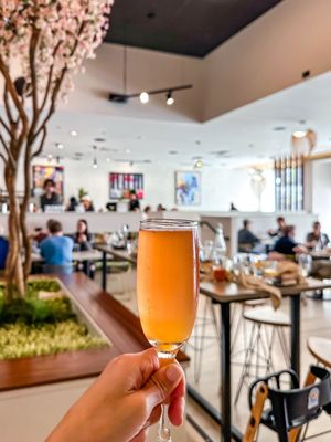House of Brunch by null