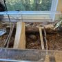 Photo of Salt Marsh Nature Center