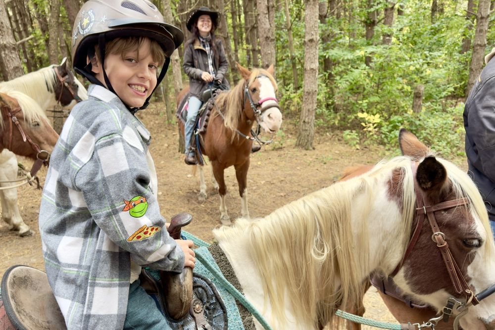 D & K Ranch - equestrian in Lodi, NY