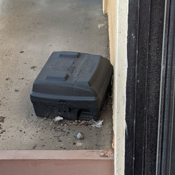 Lighthouse Hotel - This was on the balcony.... Do I need to worry about bird born illness on top of covid-19? - Hotels Near Me - Pacifica, California