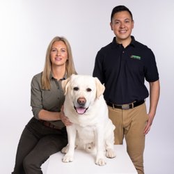 Bark Busters Home Dog Training Dakota County