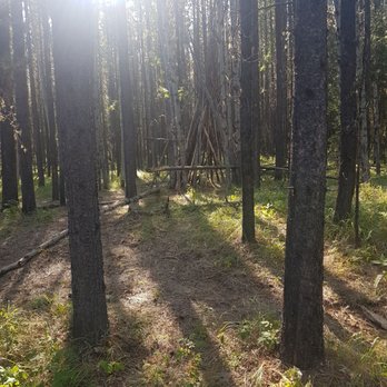 Troll Falls - The path to Troll Falls - Hiking Near Me - Turner Valley, Alberta