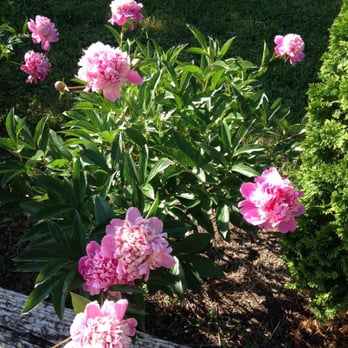 Harmony Hill Bed & Breakfast - Bed & Breakfast Near Me - Arrington, Virginia