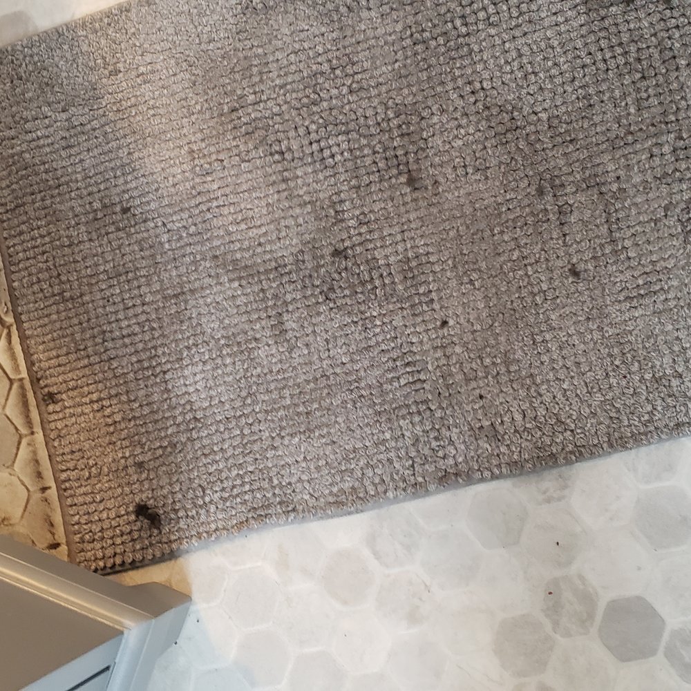Stanley Steemer - Carpet Cleaning Near Me - Byron Center, Michigan Stanley Steemer - Carpet Cleaning Near Me - Byron Center, Michigan