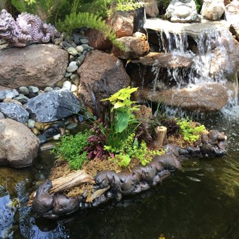 Golden Pond Water Plants - Nurseries & Gardening Near Me - Loomis, California