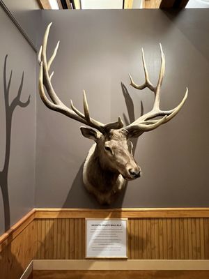 Rocky Mountain Elk Foundation by null