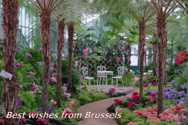 Royal Greenhouses of Laeken by null
