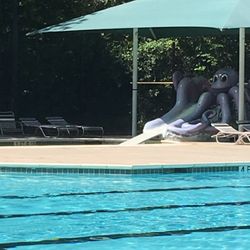 Forestgate Pool - Kids area with octopus slide