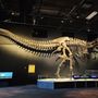 Photo of Oregon Museum of Science and Industry