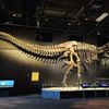 Oregon Museum of Science and Industry gift card