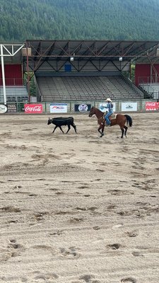 Jackson Hole Rodeo by null