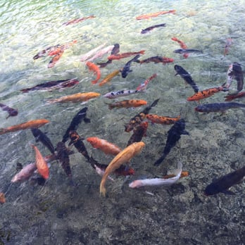 Tidepools - Hawaiian Near Me - Poipu, Hawaii