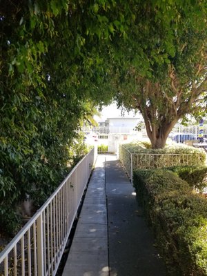 Cottage At Artesia Gardens by null