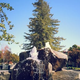 What a relaxing Sunday in Pleasant Hill