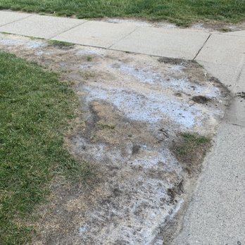 Somerset Park Apartments - Kids dug up grass to make mud. This is so embarrassing. - Apartments Near Me - Troy, Michigan Somerset Park Apartments - Kids dug up grass to make mud. This is so embarrassing. - Apartments Near Me - Troy, Michigan
