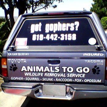 Animals To Go - We specialize in gophers. Call us! - Wildlife Control Near Me Animals To Go - We specialize in gophers. Call us! - Wildlife Control Near Me