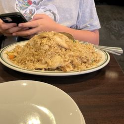 Hunan Chinese Restaurant - 74. Chicken Fried Rice
