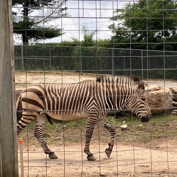 ELMWOOD PARK ZOO - Updated December 2024 - 589 Photos & 222 Reviews