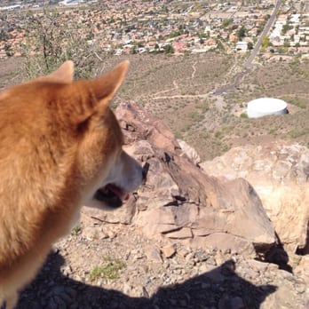 Lookout Mountain Preserve - My shiba inu Yoshi is an extreme adventurer even on this rocky trail. - Parks Near Me - Phoenix, Arizona Lookout Mountain Preserve - My shiba inu Yoshi is an extreme adventurer even on this rocky trail. - Parks Near Me - Phoenix, Arizona