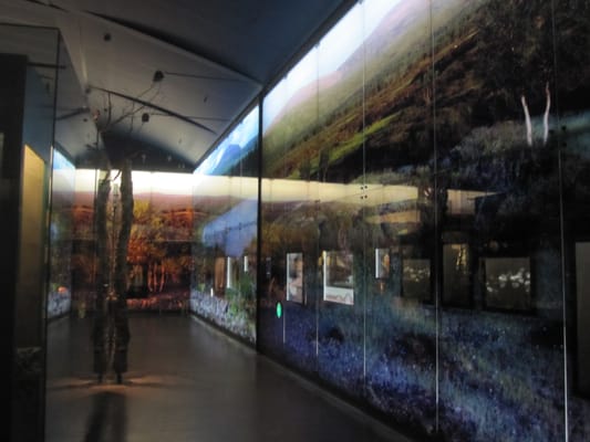 Siida - Sámi Museum and Nature Center by null