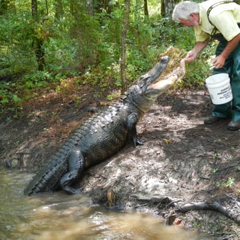 Swamp Adventures - Gary brought 'em in! - Boat Tours Near Me - Luling, Louisiana Swamp Adventures - Gary brought 'em in! - Boat Tours Near Me - Luling, Louisiana