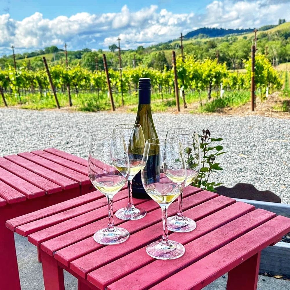 Viszlay Vineyards - two wine glasses and a bottle on a red table - Wineries Near Me - Healdsburg, California